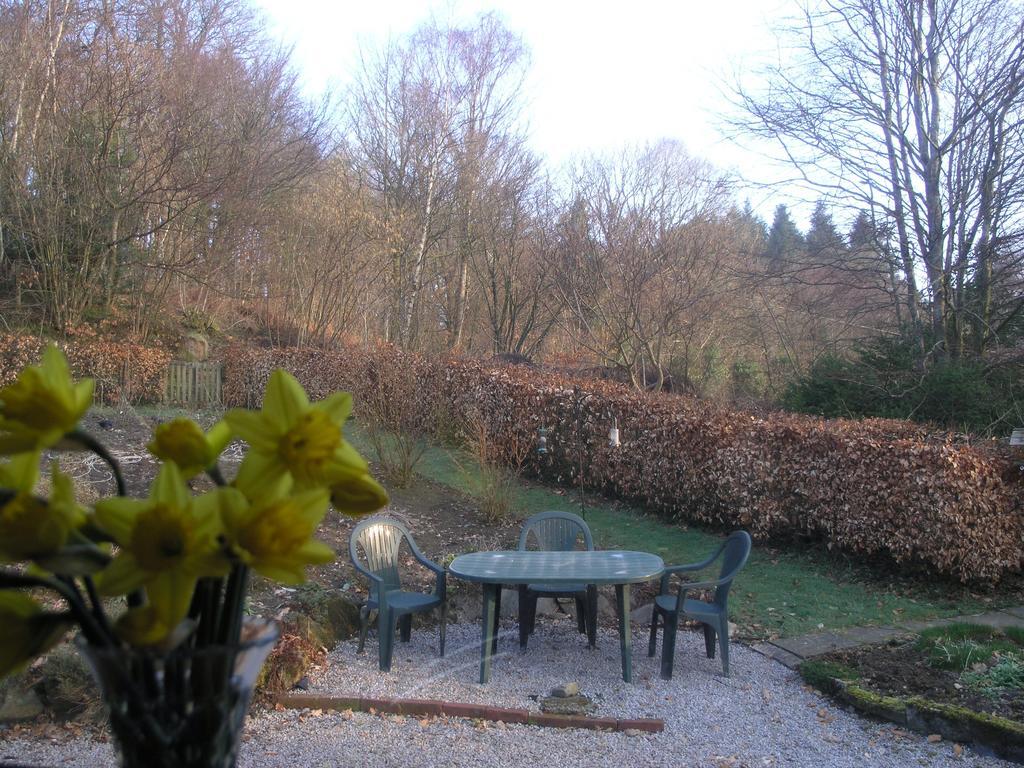Craighindle Newton Stewart Room photo